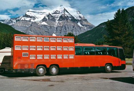 wielen capsule hotel
