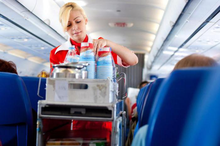 stewardess training