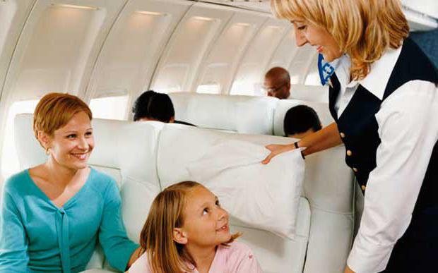 stewardess groei