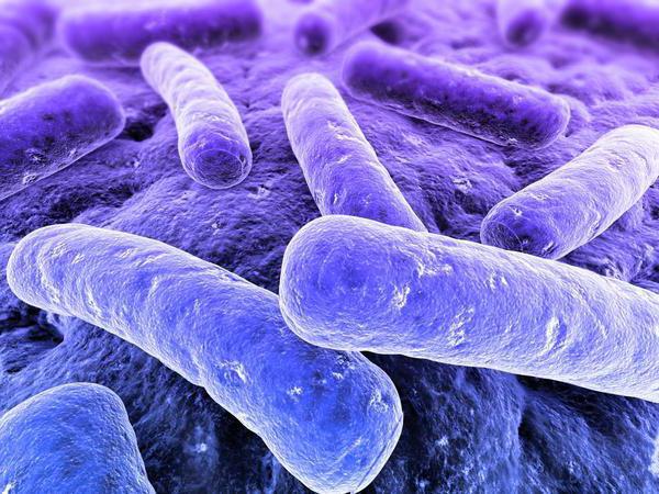 sanitaire anti-epidemische maatregelen