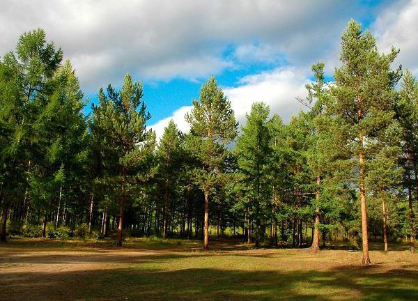 natuurlijke rijkdom van de mens