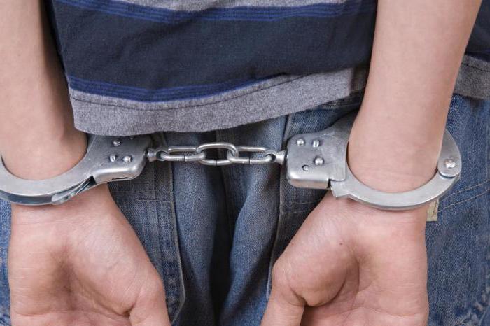 pedofilie welk artikel