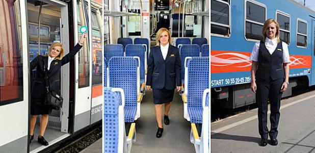 oficjalne obowiązki konduktora przewozu osób