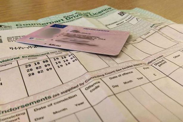 prosta licencja
