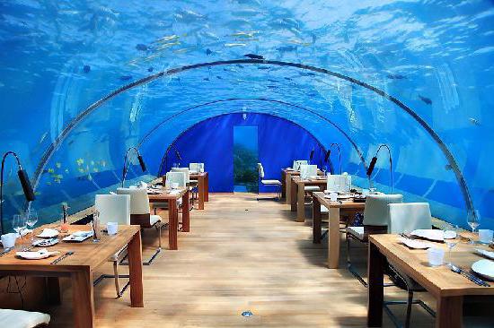 elite restaurant