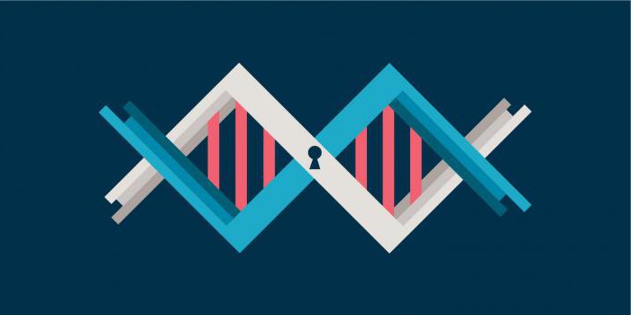 biometrische gegevensverwerking