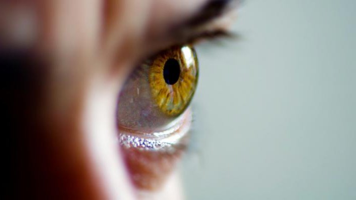 Wat zijn menselijke biometrische gegevens?