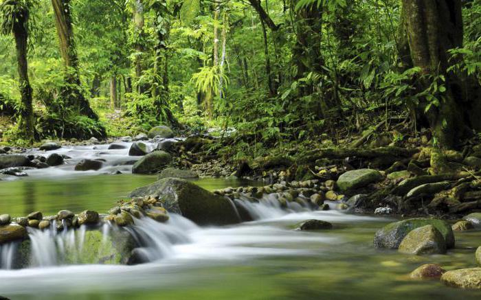 prawo człowieka do zdrowego środowiska