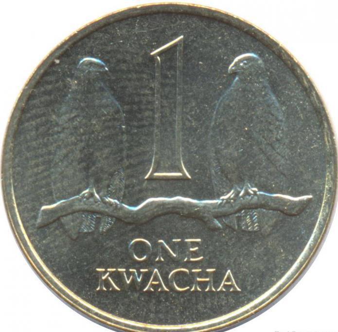 jaka jest waluta Zambii