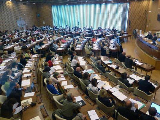 Intergouvernementele en niet-gouvernementele internationale organisaties