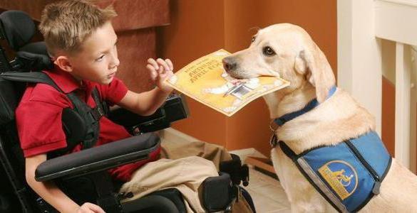 mensen met een handicap helpen