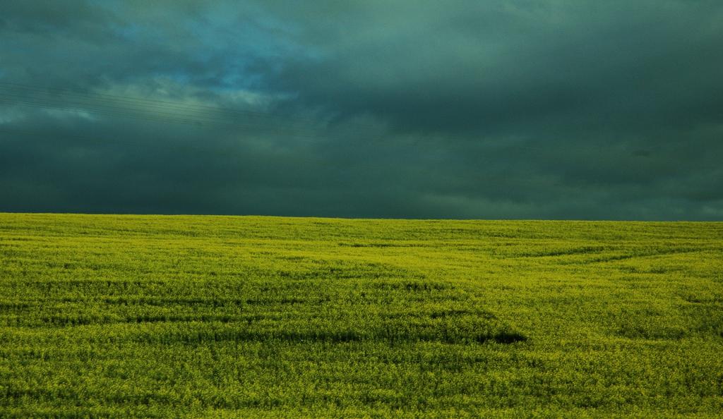 methoden en voorwaarden voor de vorming van land