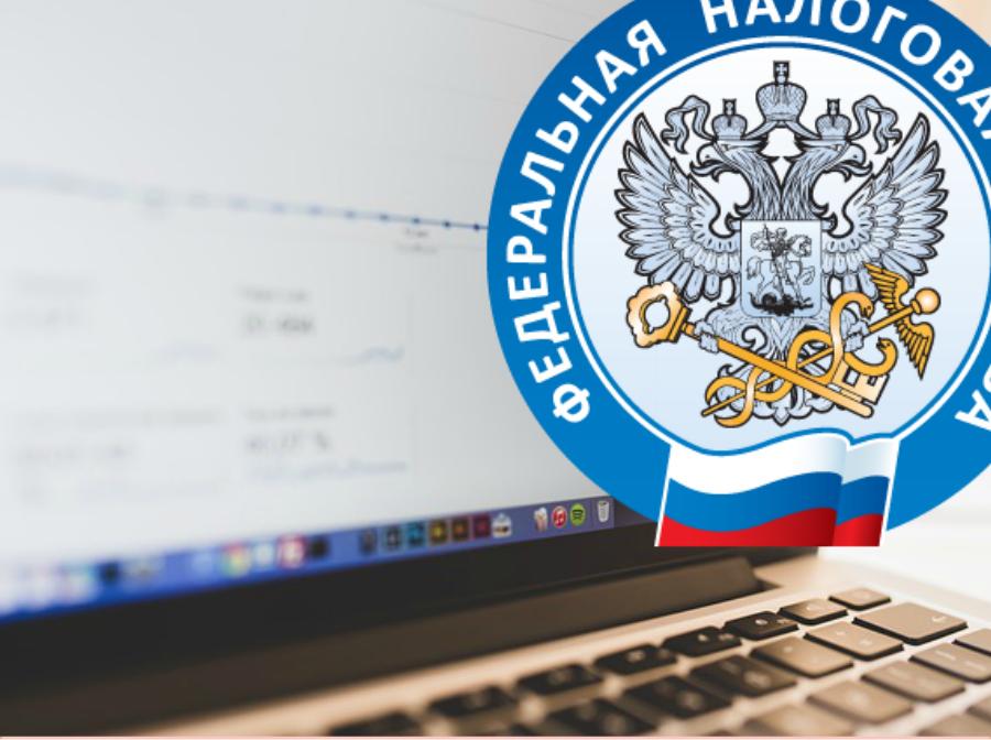 struktura podatkowa organów podatkowych