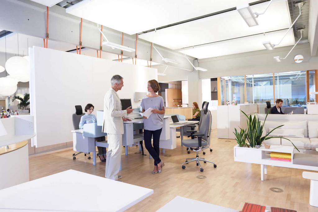 procedure voor het opstellen van territoriale planningsdocumenten