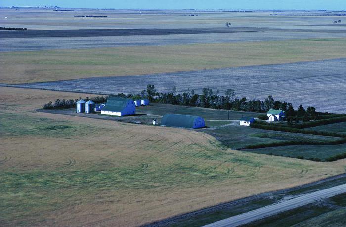 Farma chłopska lub IP, co jest lepszą tabelą różnic