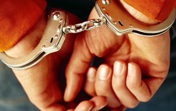 officier van justitie in strafprocedures
