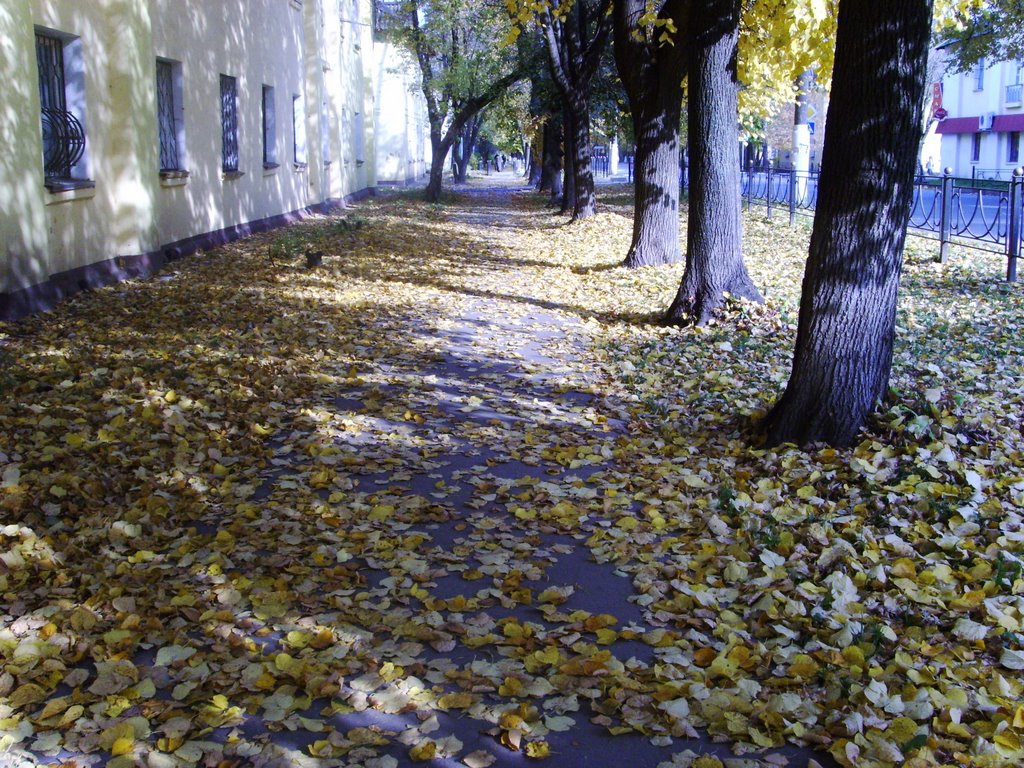 Herfst in Elektrostal