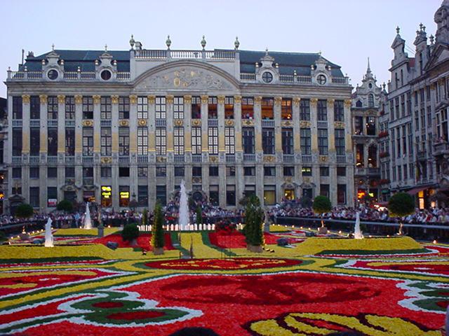 pracować w Belgii
