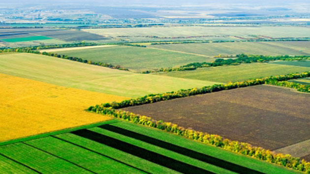 Piękne pola