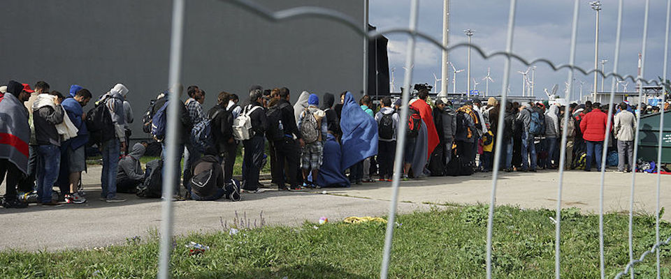 Spóźnieni migranci