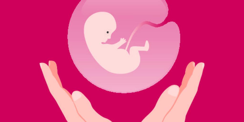 Funkcje licencjonowania sztucznej aborcji