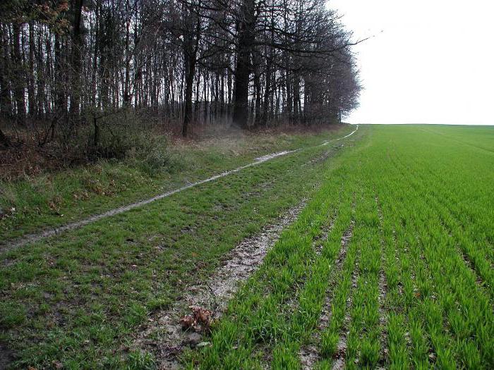 udział w ziemi