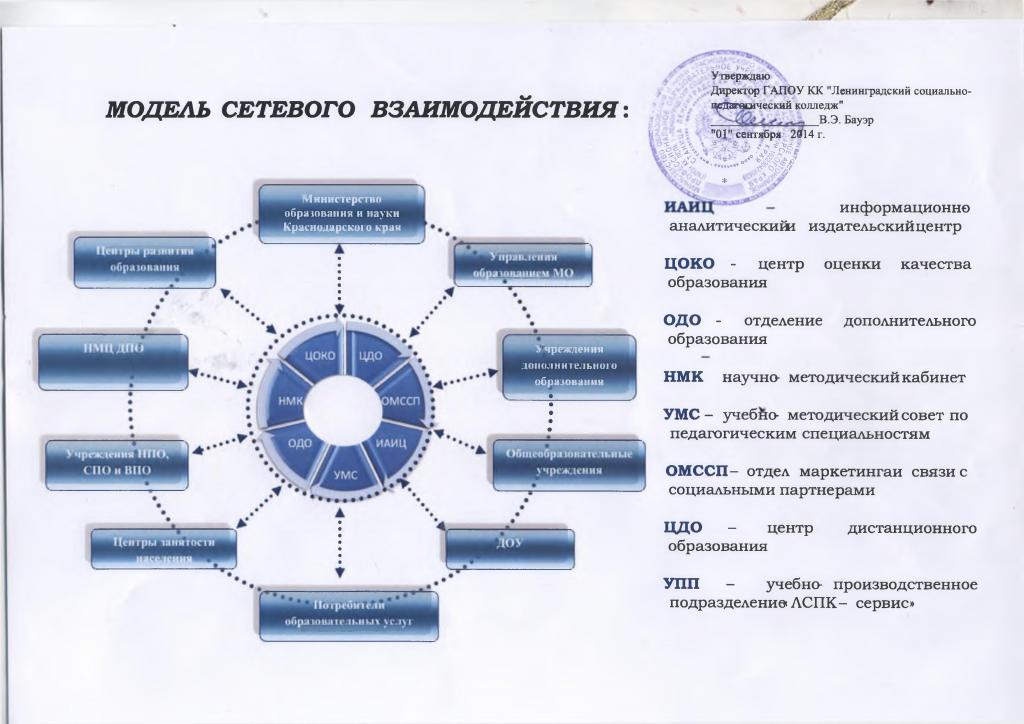 energia organizacji sieci