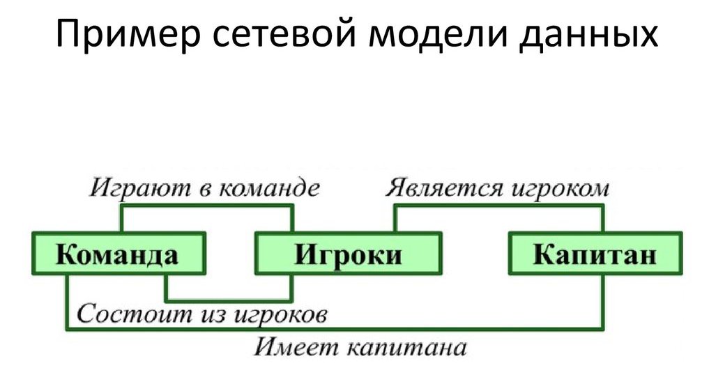 forma organizacji sieci
