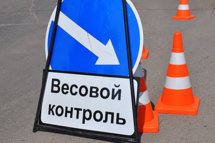 system kontroli wagi