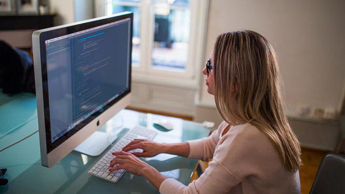 functieomschrijving programmeur budgettaire instelling