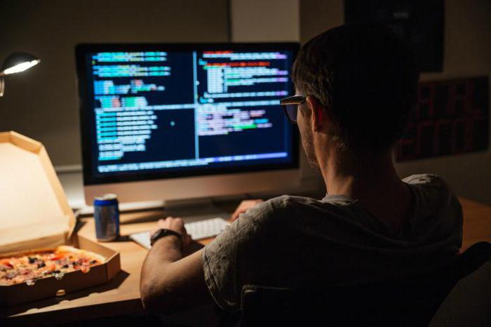 opis zadania programisty 1s