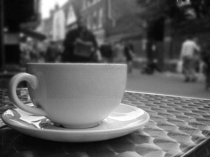 verhuur van niet-residentiële gebouwen onder een café