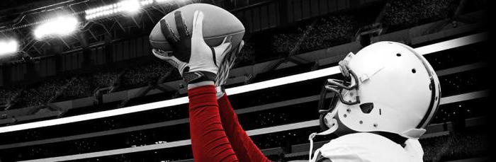 sportbookweddenschappen op alle sporten