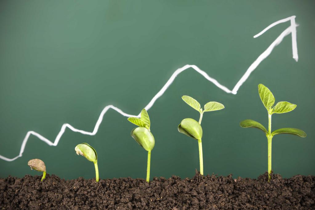 innovatieve activiteit van de onderneming