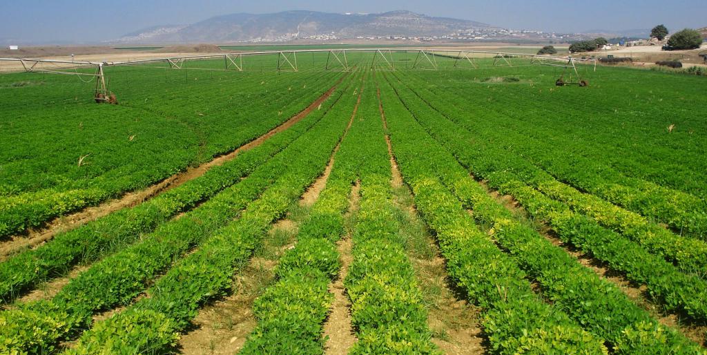 Landbouwgrond