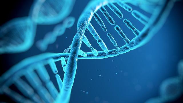 dowód na rolę DNA w przekazywaniu informacji genetycznej
