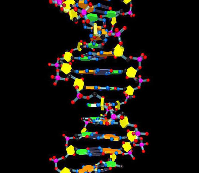 bezpośredni dowód genetycznej roli DNA