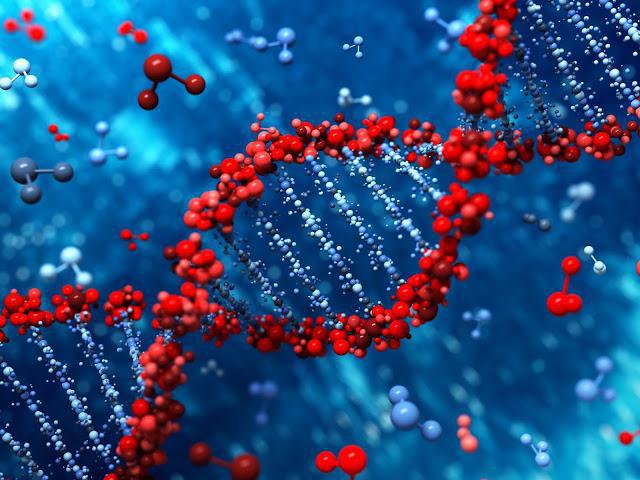 dowód na genetyczną rolę DNA