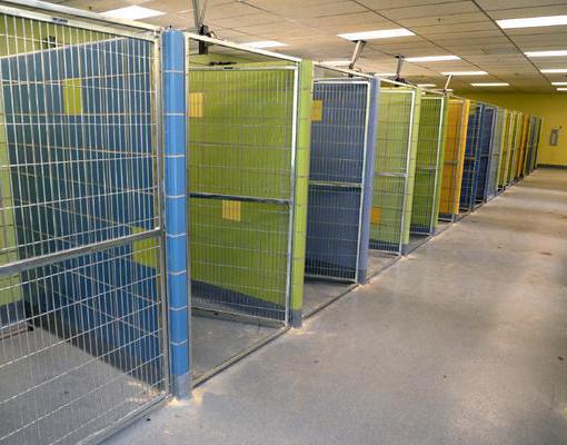 hoe een schuilplaats voor dieren te openen waar te beginnen