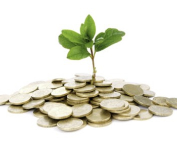 vaste investering
