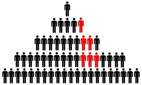 functioneel organigram