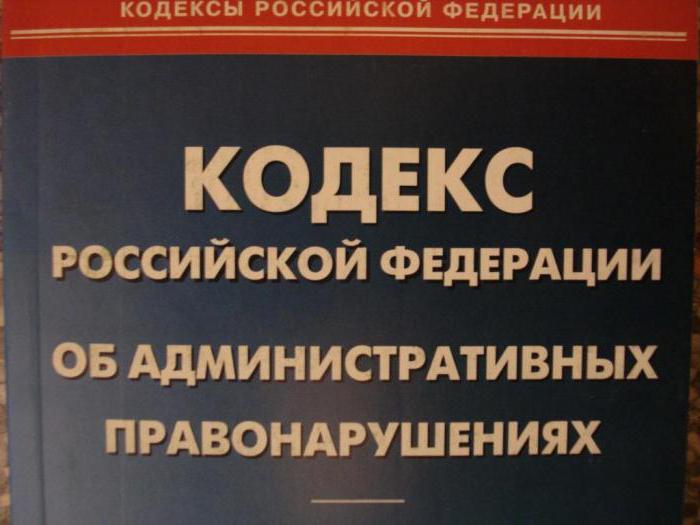 zamówienia rządowe dla małych firm