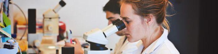 gdzie uzyskać pomoc na temat środowiska epidemiologicznego