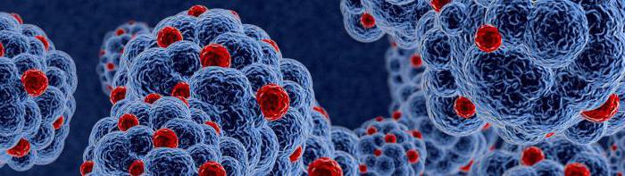 świadectwo epidemiologiczne