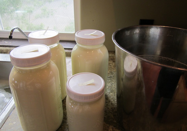 Zelfgemaakte melk is een waardevol product.