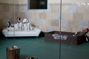 biznesplan hotelu dla zwierząt domowych