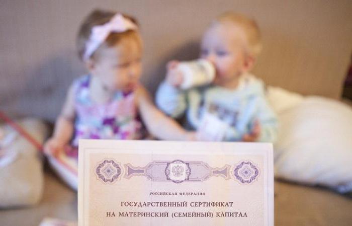 regionalny certyfikat macierzyński