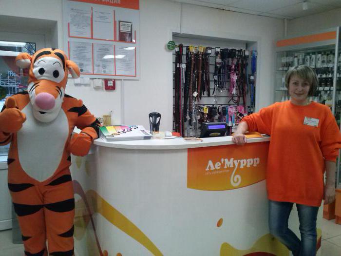 franczyza w sklepie zoologicznym
