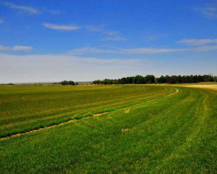 ile kosztuje udział w ziemi