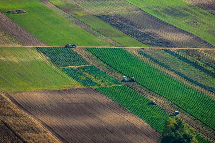 nieuprawnione przejęcie odpowiedzialności za ziemię